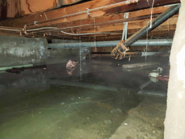 Best Sewage cleanup and water damage restoration  in Perryville, MO