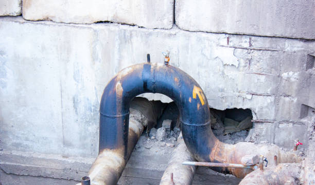 Best Water damage cleanup near me  in Perryville, MO