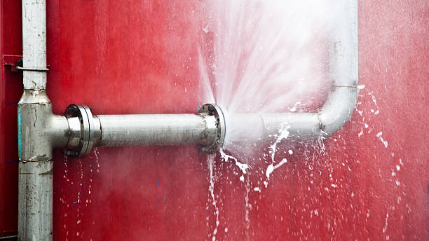 Best Water damage restoration services  in Perryville, MO